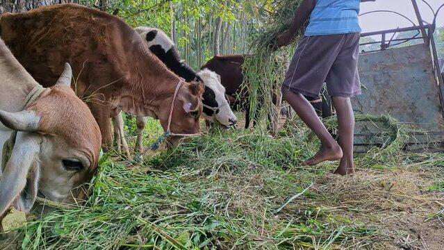 WhatsApp Image 2024-03-12 at 4.50.59 PM (1)