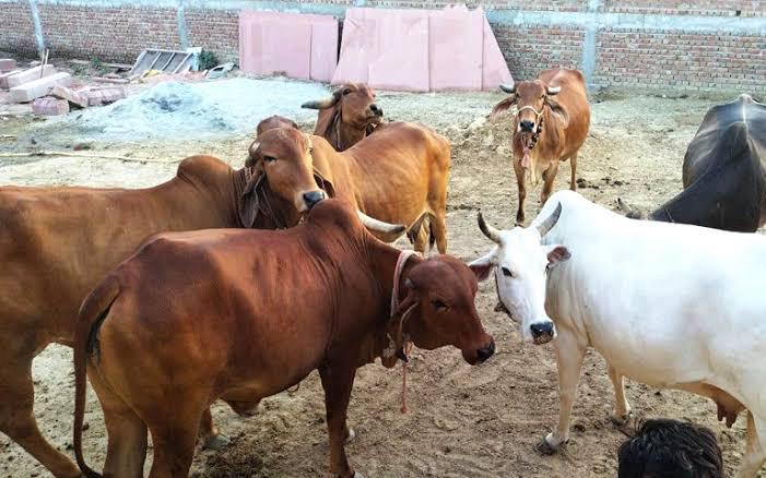 WhatsApp Image 2024-03-12 at 4.50.59 PM (2)