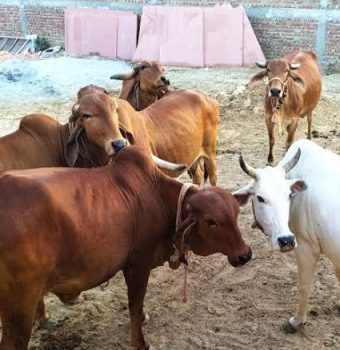 WhatsApp Image 2024-03-12 at 4.50.59 PM (2)